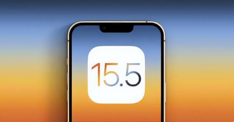 孟津苹果手机维修分享iOS15.5 RC版升级建议 