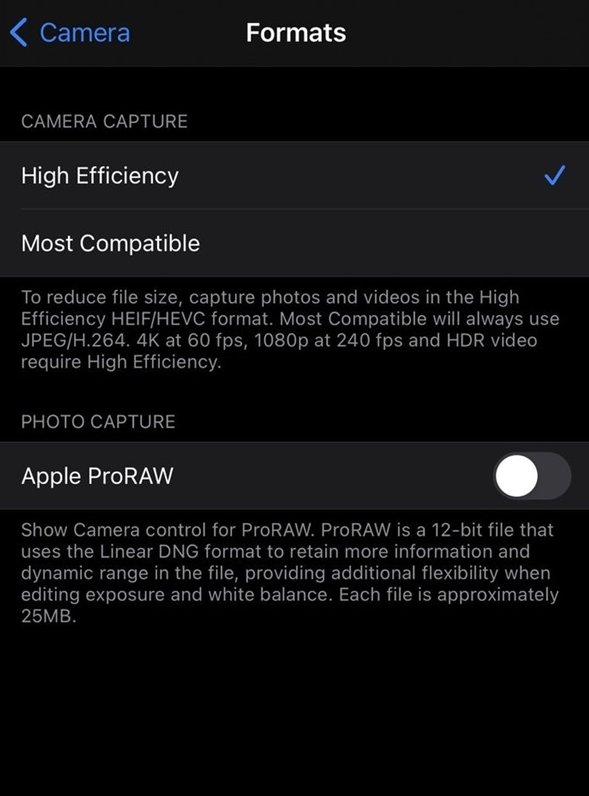 孟津苹果手机维修分享如何为 iPhone 12 Pro/Max 启用 ProRAW 照片格式 